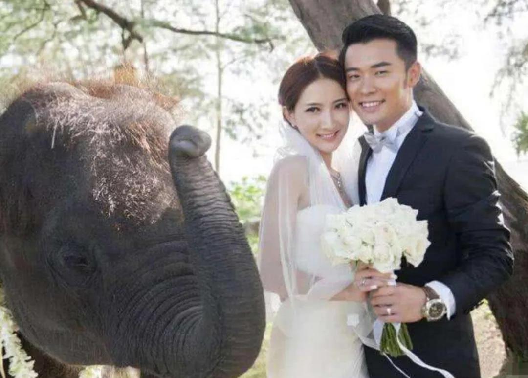 娱乐圈人缘好的明星陈赫,没有路人缘的明星