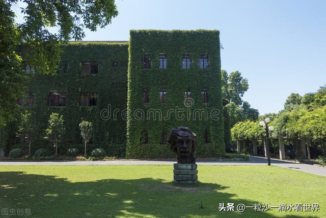 多伦多大学最受欢迎专业,公务员考试最受欢迎的专业