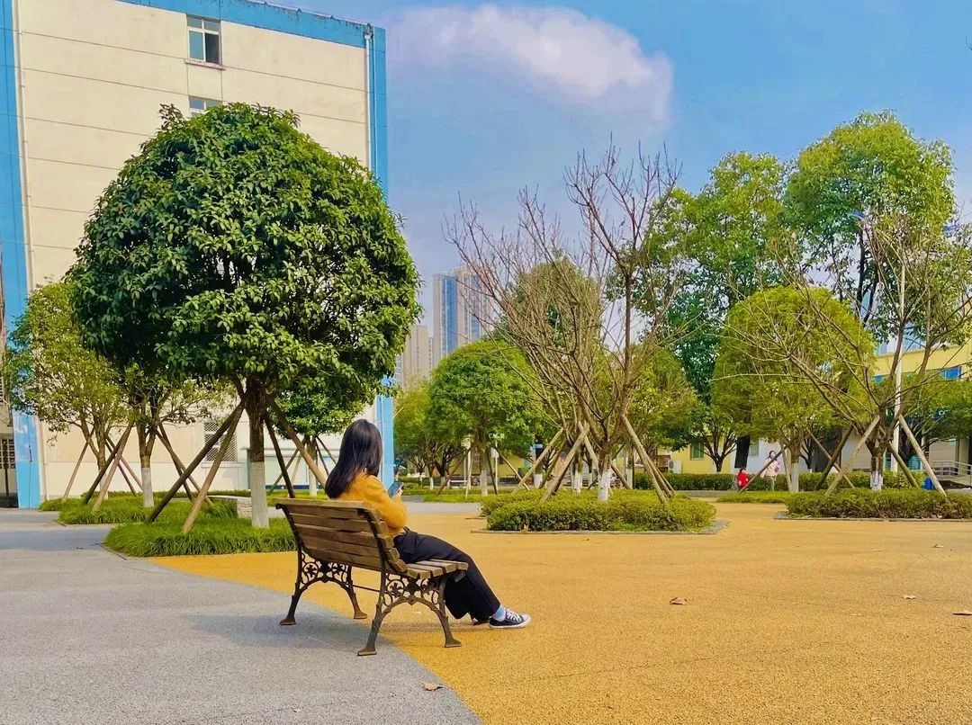 美美美，在阳光灿烂的成电遇见你~