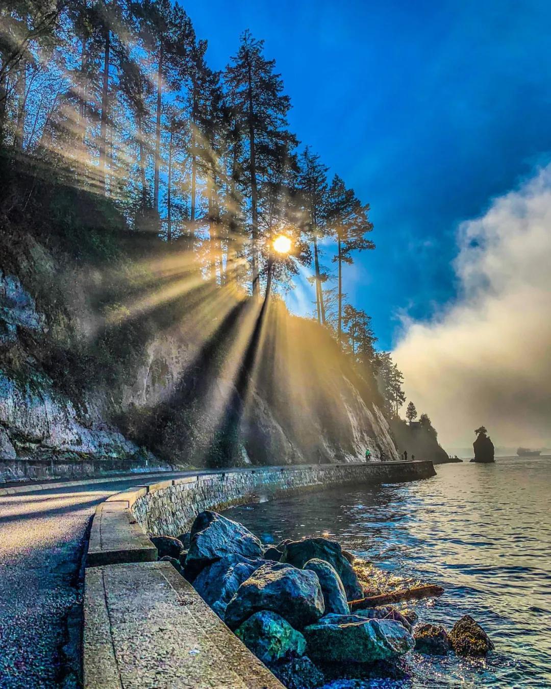 抢不到冰墩墩是什么梗,冬奥会冰墩墩2022