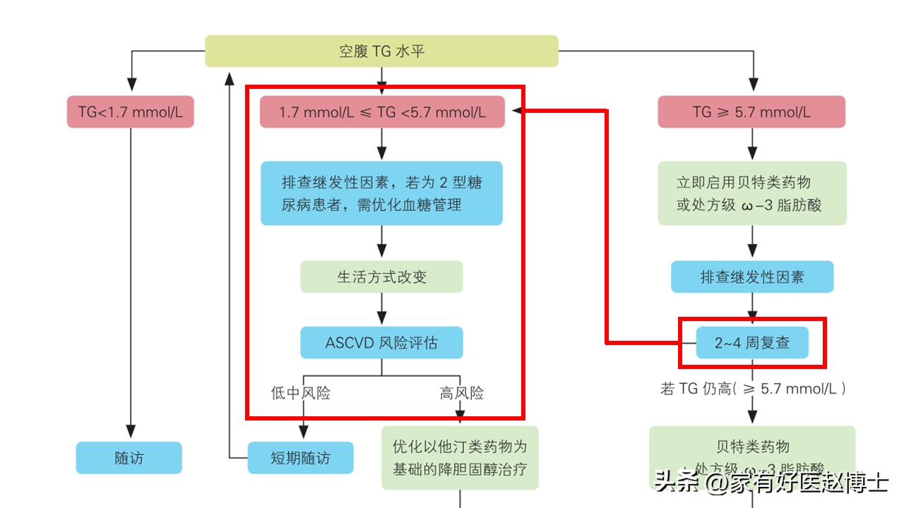 2024最新血脂管理共识,甘油三酯5.29怎么降脂