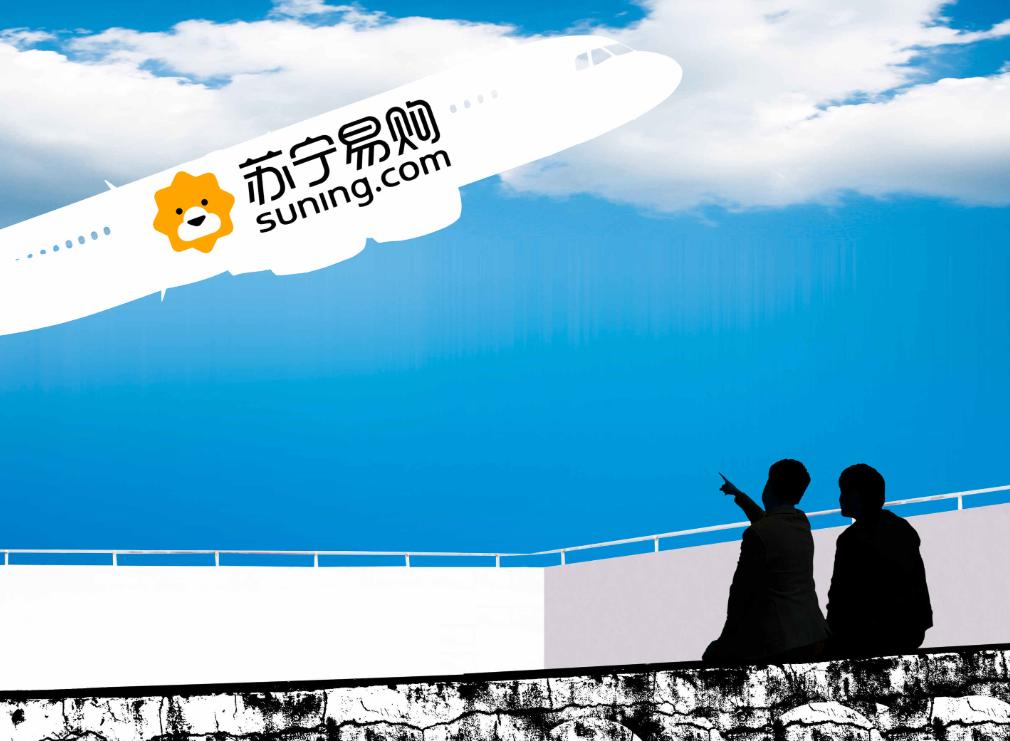 苏宁易购物流模式,苏宁易购客户服务管理项目