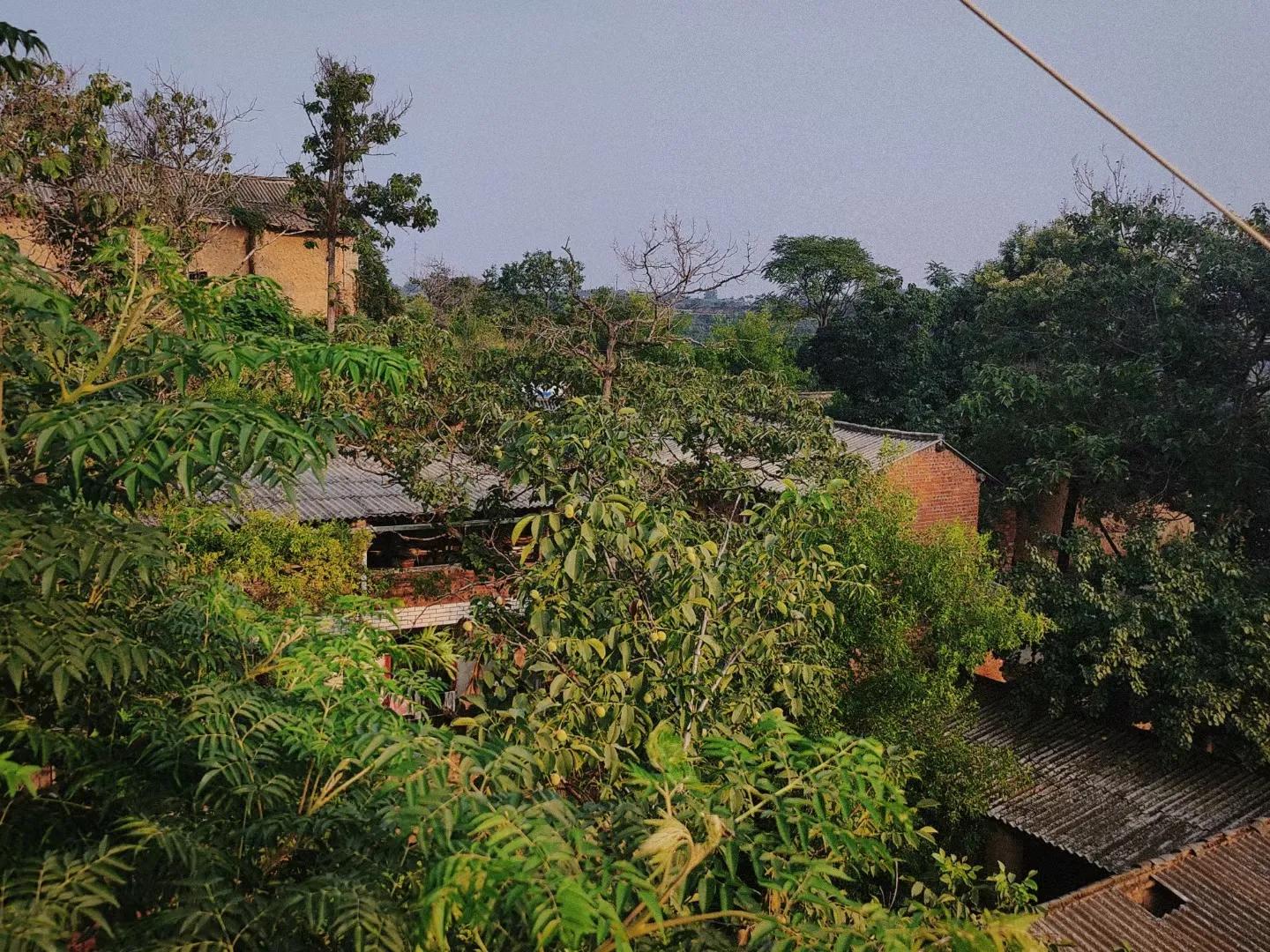 西建大学子三下乡|洛阳日记⑩：莫言相遇易，趣途远有期