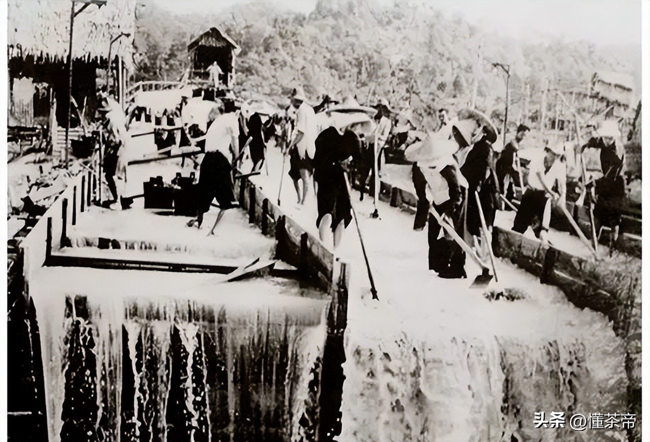 六堡茶搭配什么祛湿化浊,六堡茶加什么祛湿效果好