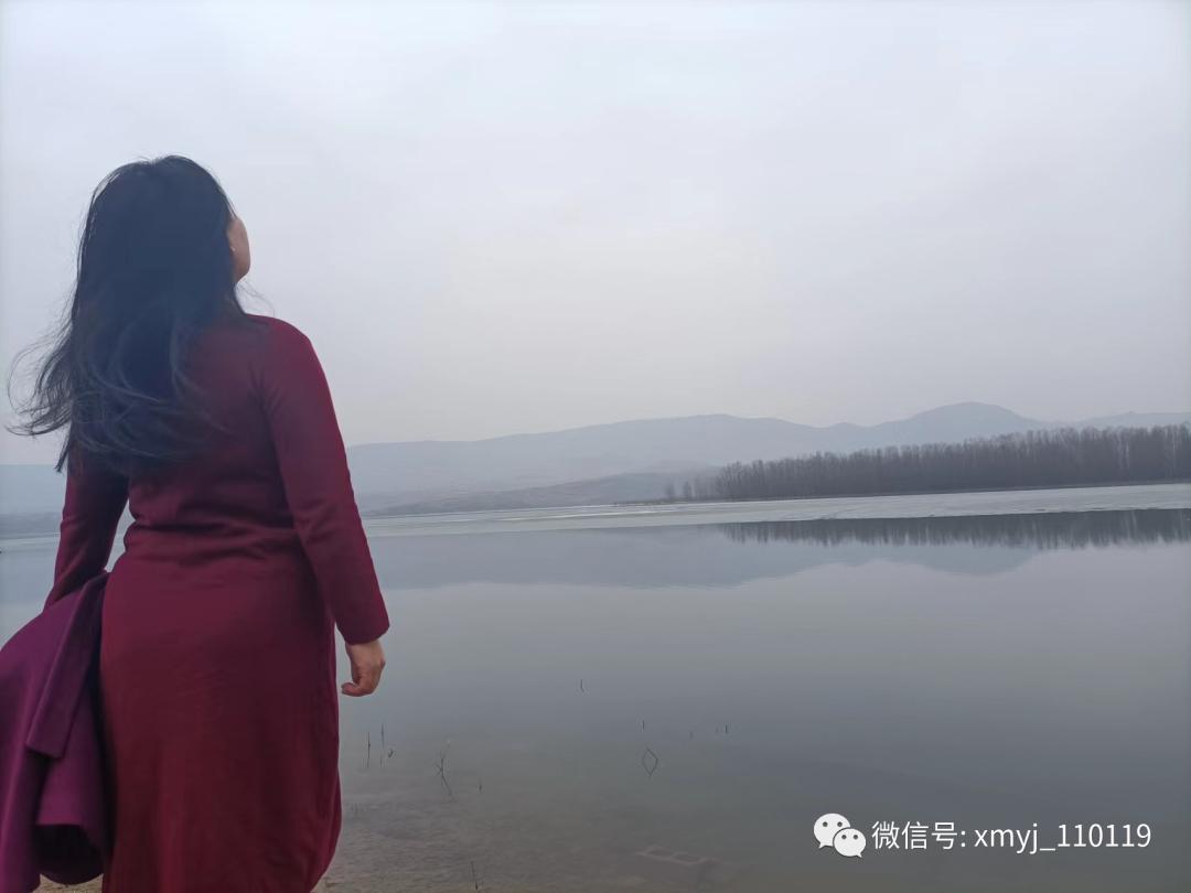 济南市三尖崮蜜蜂养殖专业合作社,杨氏土蜂园养蜂合作社