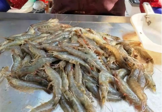 挑选虾时一定要买弯曲的虾,怎么挑选好虾遇到这种虾千万别买
