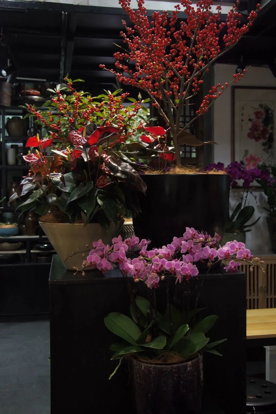 寮曢鑺辫壓娼祦鐨勫崄浜屽鑺卞簵,鏃ユ湰闈掑北鑺卞簵鍟嗕笟妯″紡