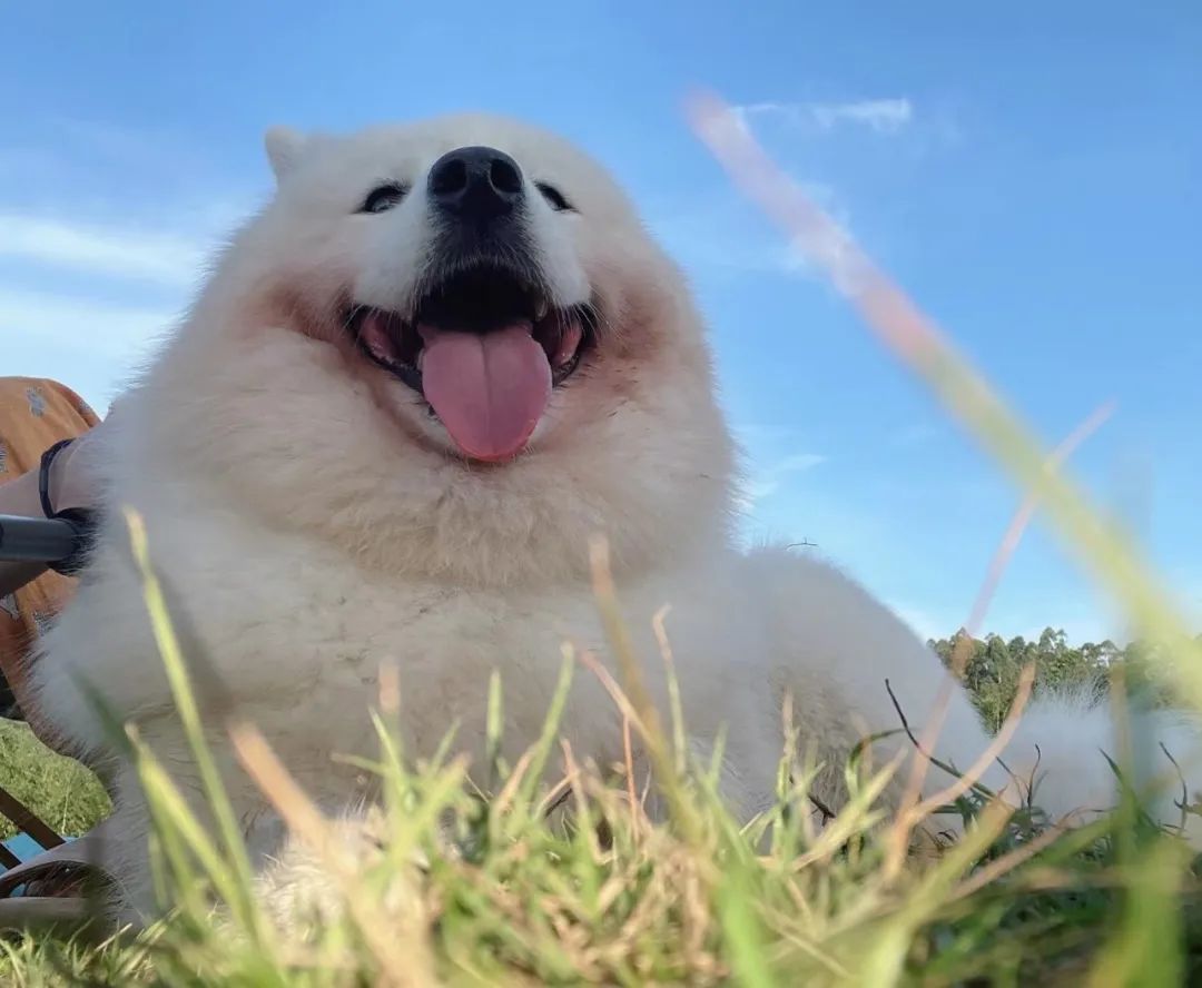 降薪跳槽的深圳年轻人：从月入过万到月薪2千，就当花钱买健康