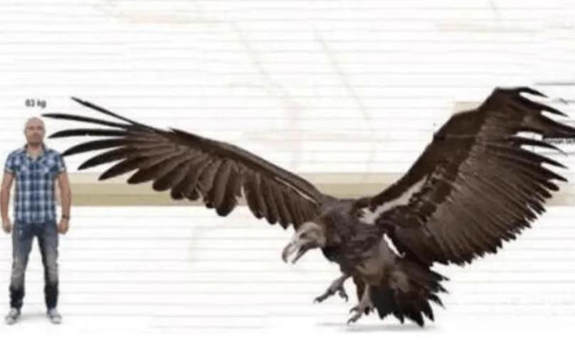 娼樺笗鏂泟楣颁笘鐣屾澂鍐宠禌,鍥為【娼樺笗鏂泟楣板緛鎴樹笘鐣屾澂