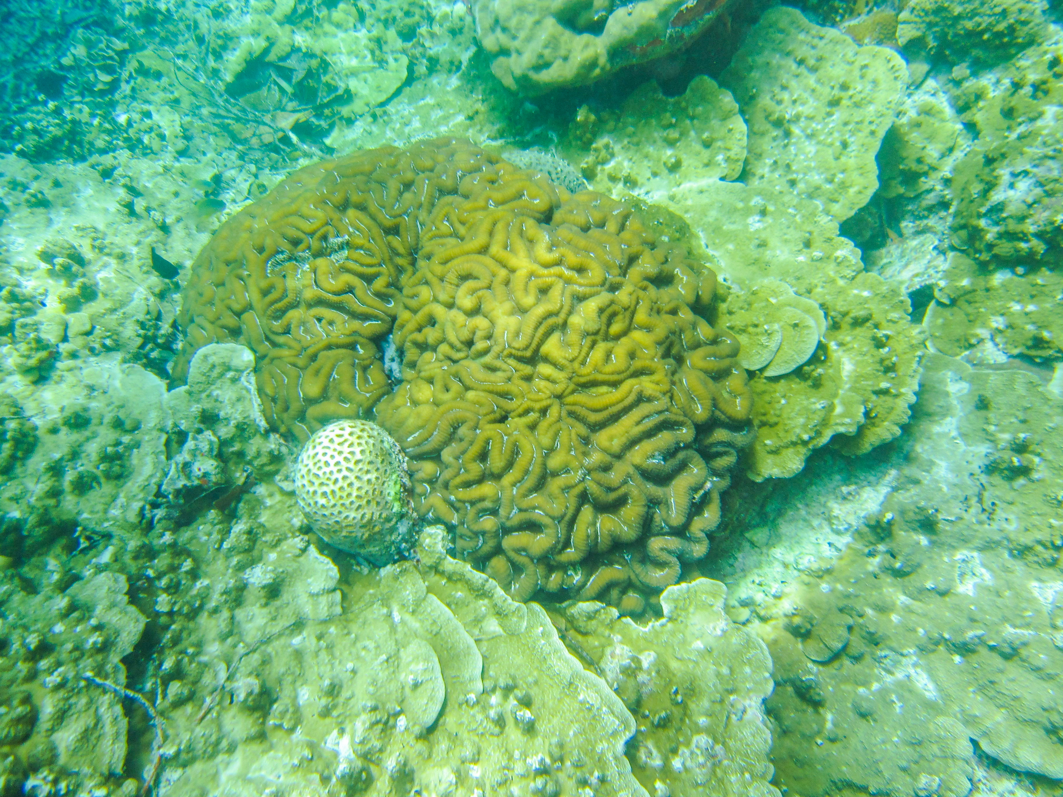 孤悬在太平洋上的岛国,帕劳,人生最值得一去的旅游目的地之一