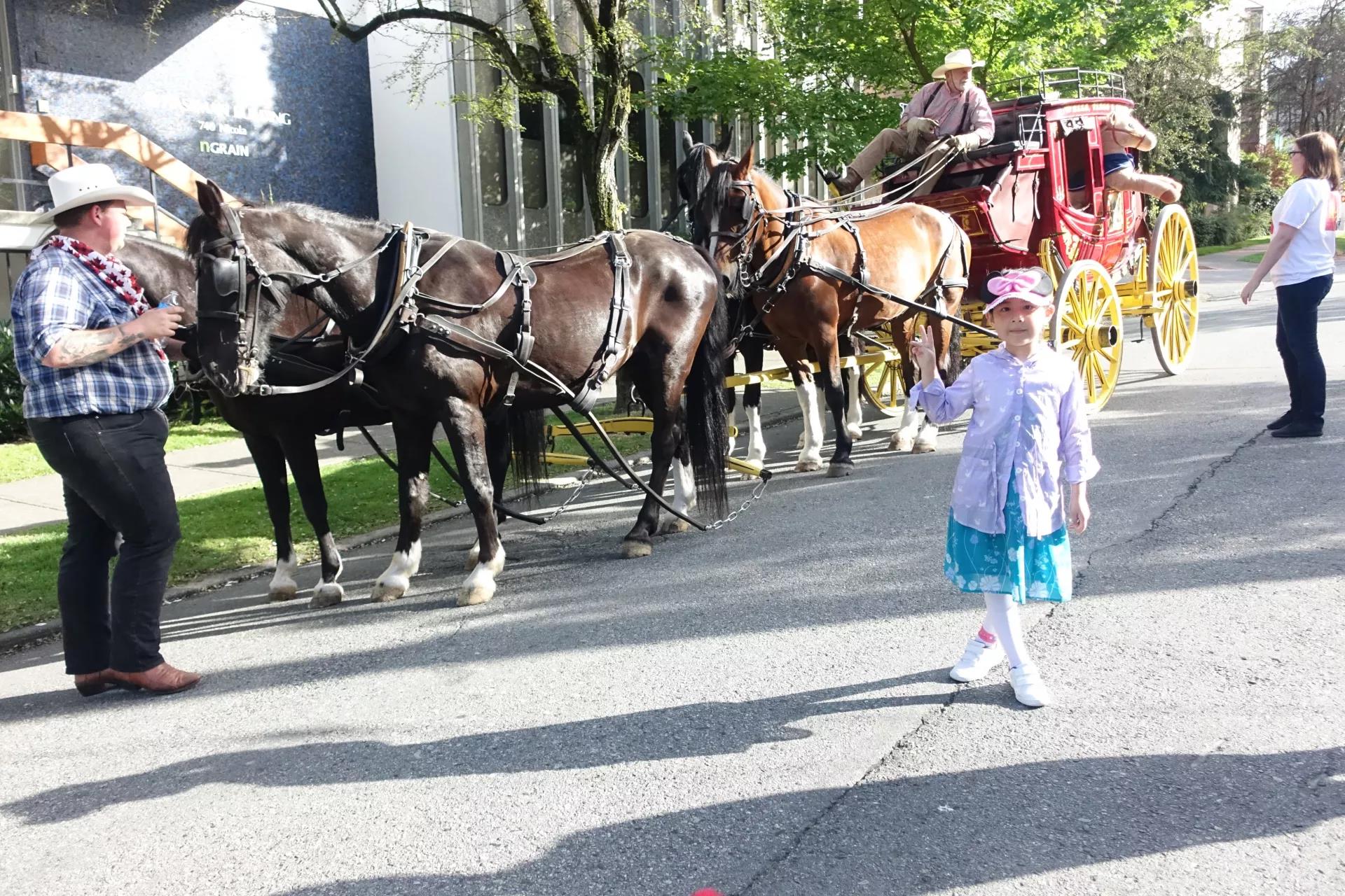 青岛如何带上猫猫去加拿大多伦多,钱猫猫加拿大之旅