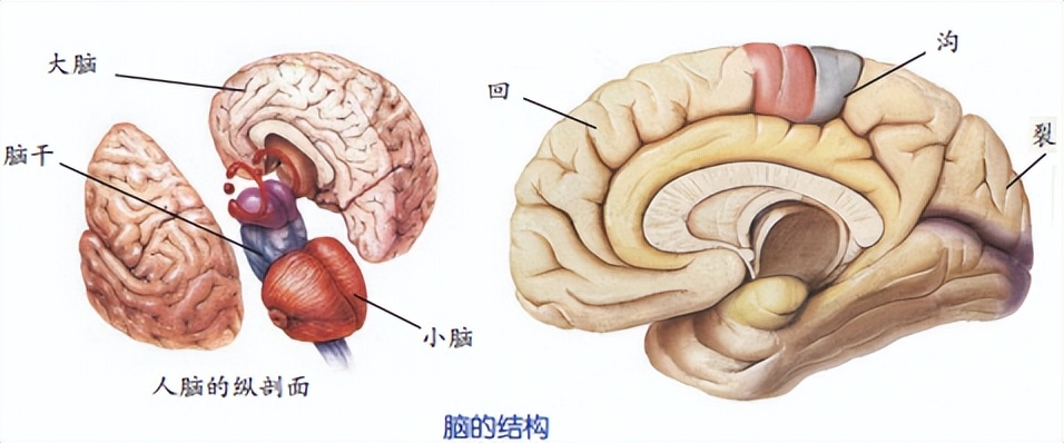 科学知识大全小学生必背,科学知识大全全集