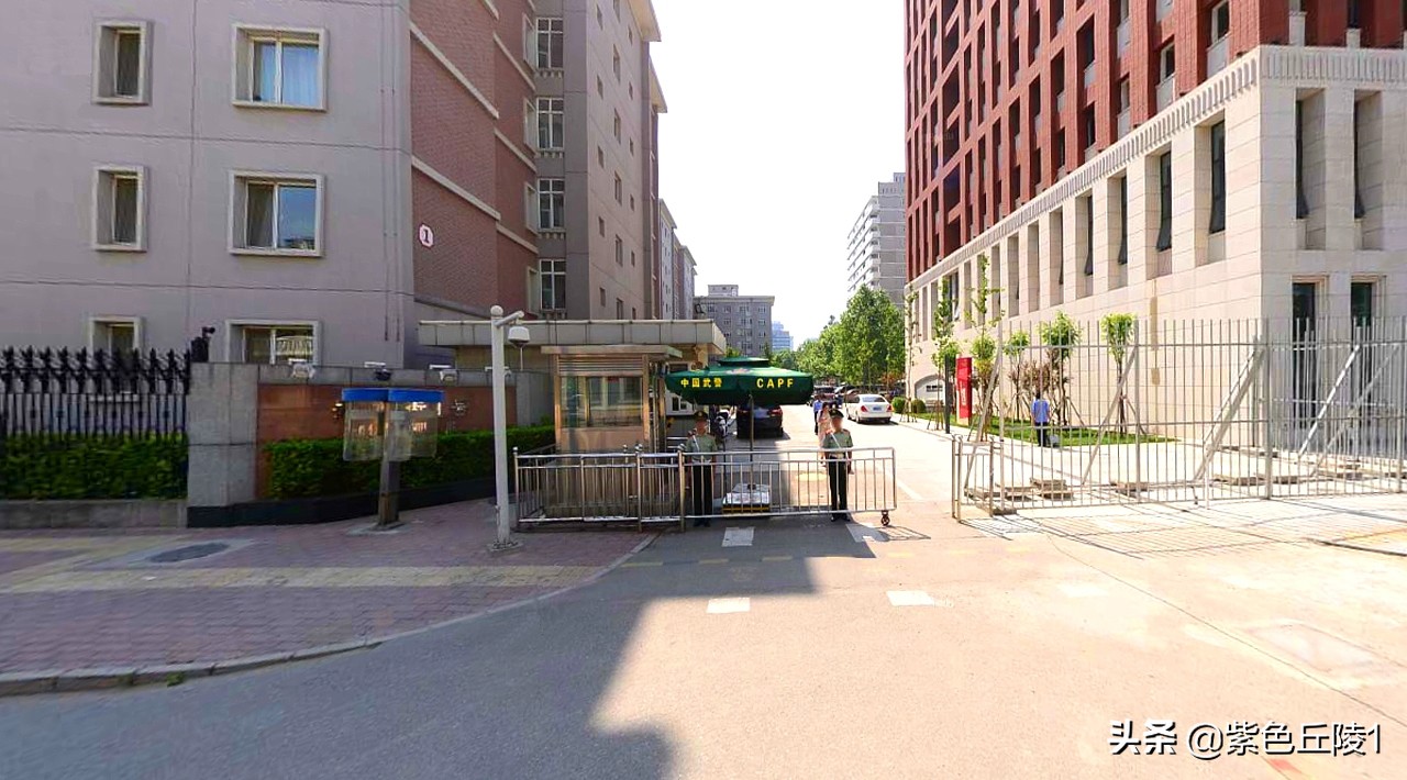 南亚国家外交活动,中国南亚多国