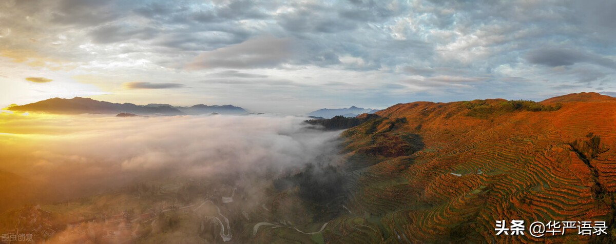 金钱可以买来人心却买不来,金钱真的可以收买感情吗