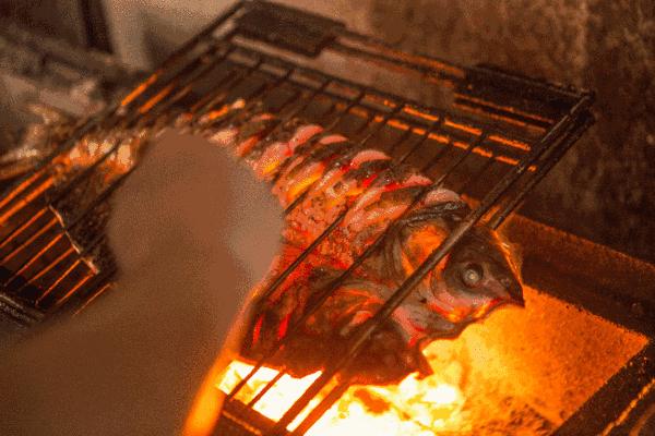 印度恒河用网抓清道夫,清道夫恒河印度