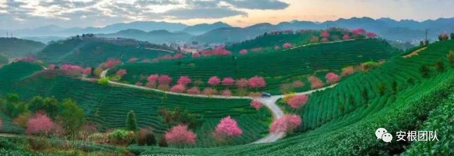 如何引导农民合作社发展,我国农民合作社发展的政策机遇