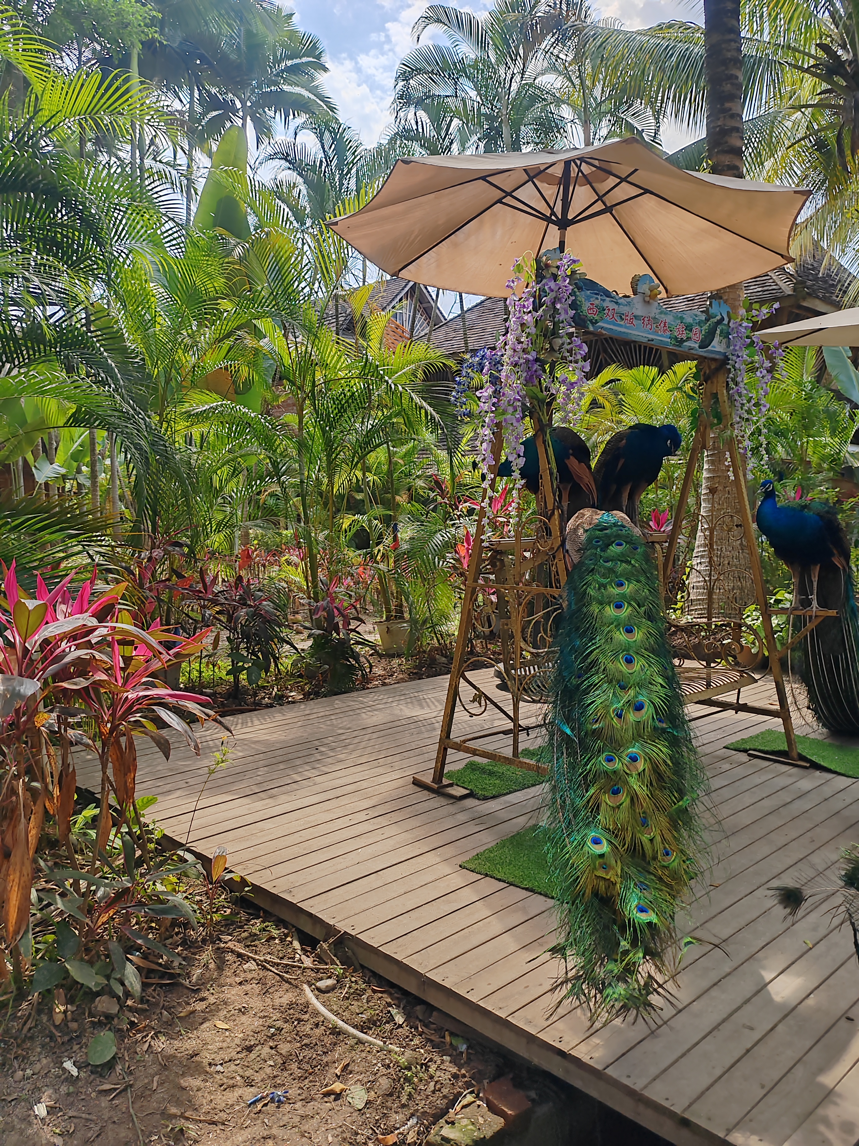 西双版纳傣族村寨和傣族园,西双版纳美丽的傣族园