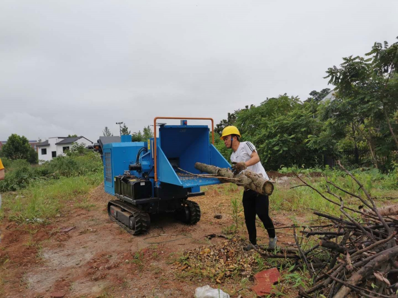 小树枝变废为宝100种方法,废弃果树枝怎么利用