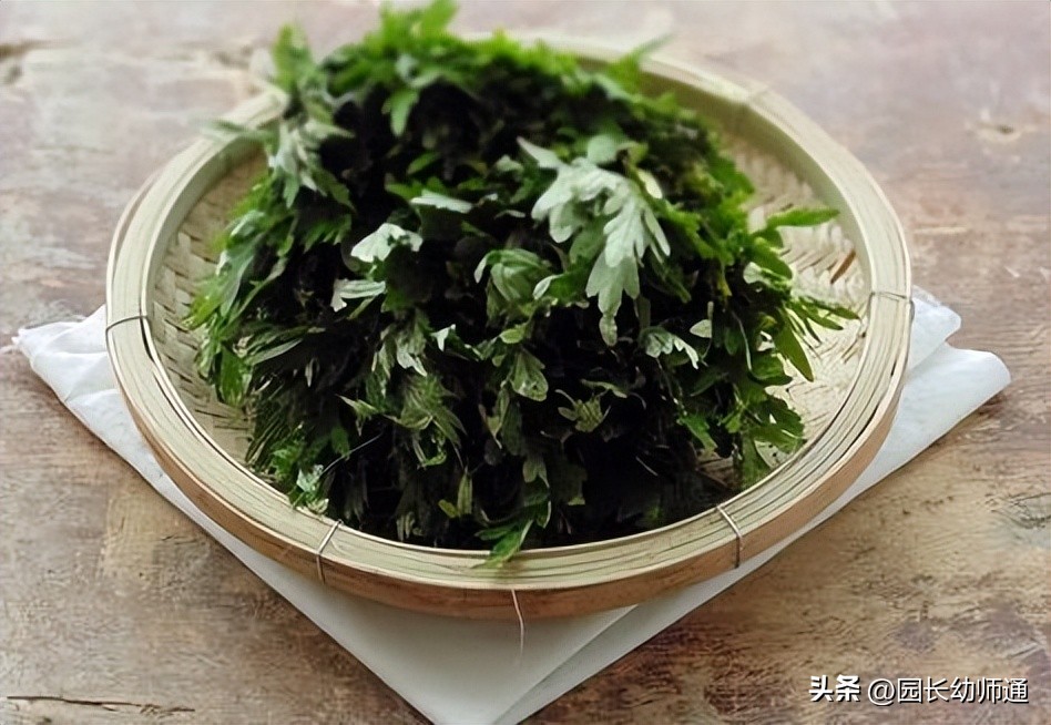 防蚊小妙招幼儿园图文,幼儿园防蚊小技巧