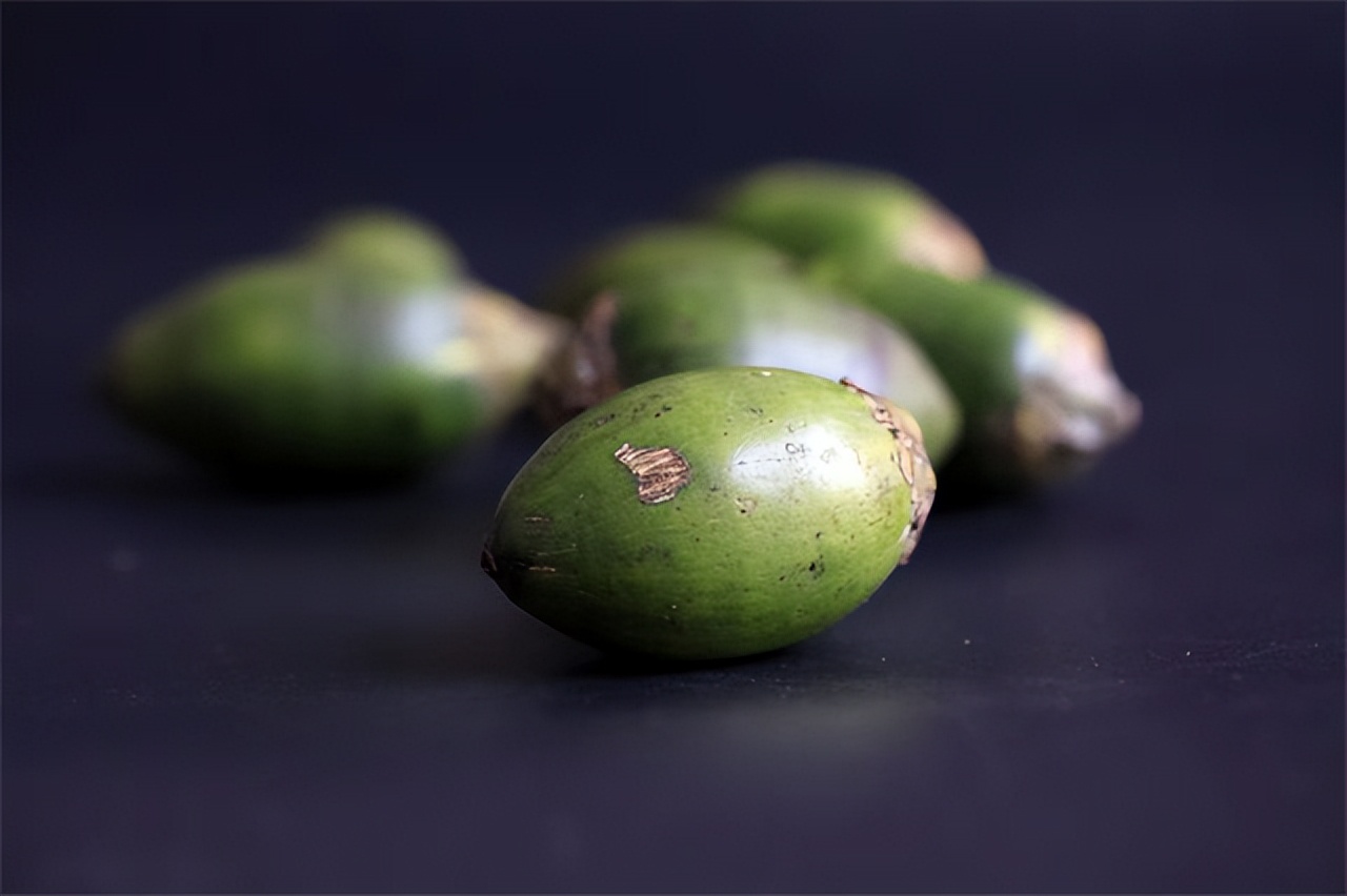 致命的槟榔被称恶魔果实,印度的恶魔果实槟榔