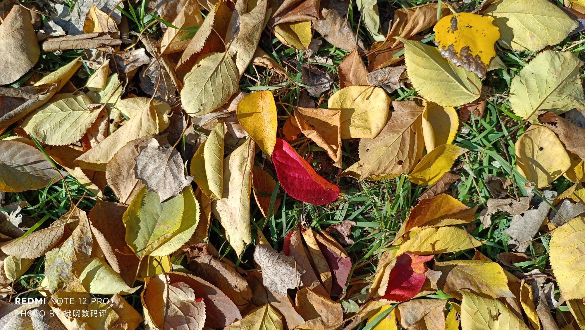 红米redminote12Tpro值得买吗,红米RedmiNote12Pro评测