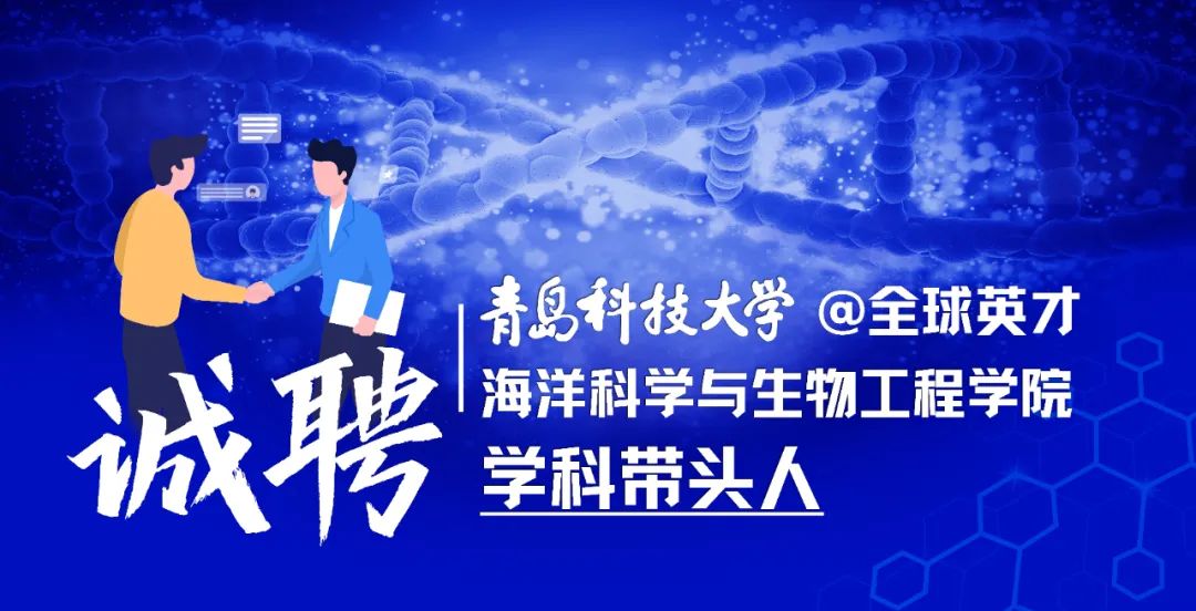 诚聘海内外英才！青岛科大，山东交通学院，滨州学院