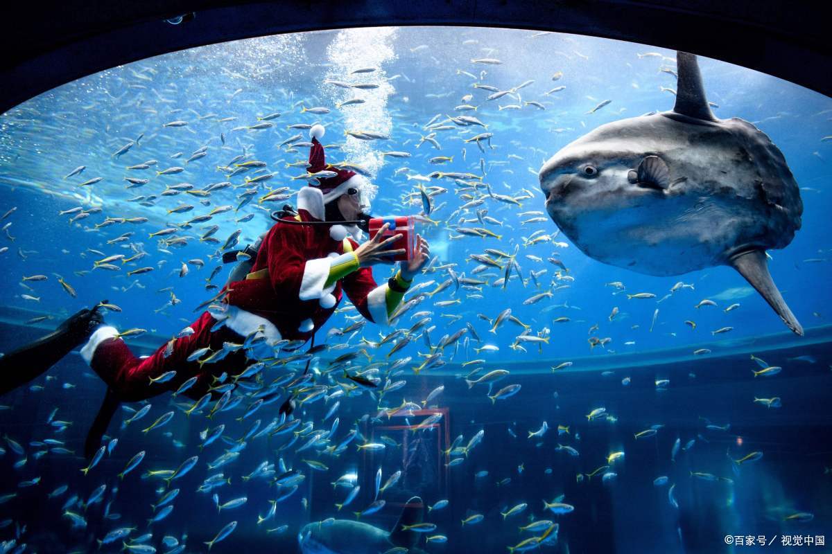 鼓浪屿景区住宿攻略推荐,鼓浪屿住宿旅游攻略推荐