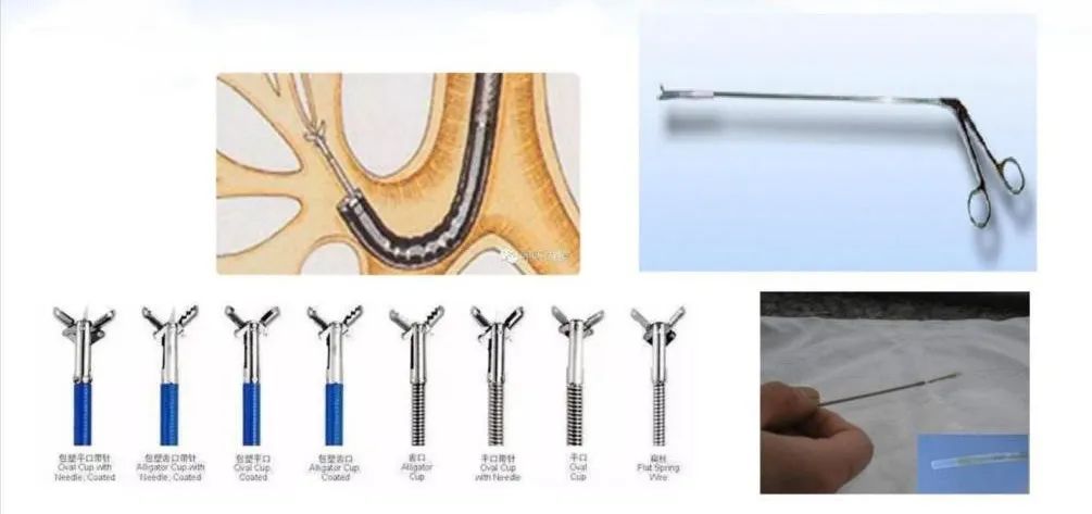 唐都医院金发光教授出诊,金发光医生简介