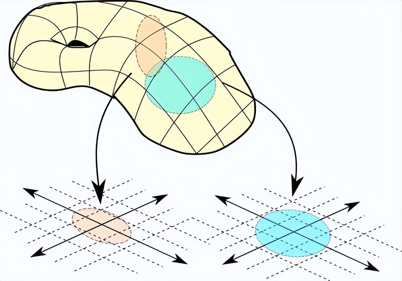 数学概念维度,数学概念有哪些维度