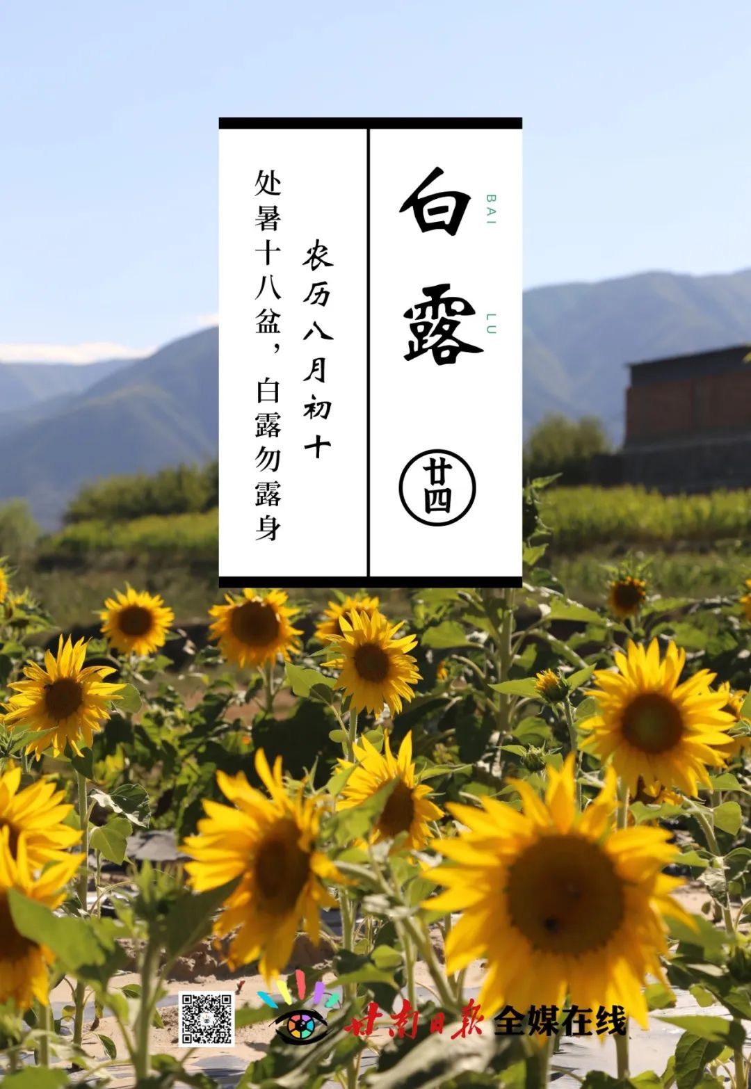 今日白露养生,今日白露节气