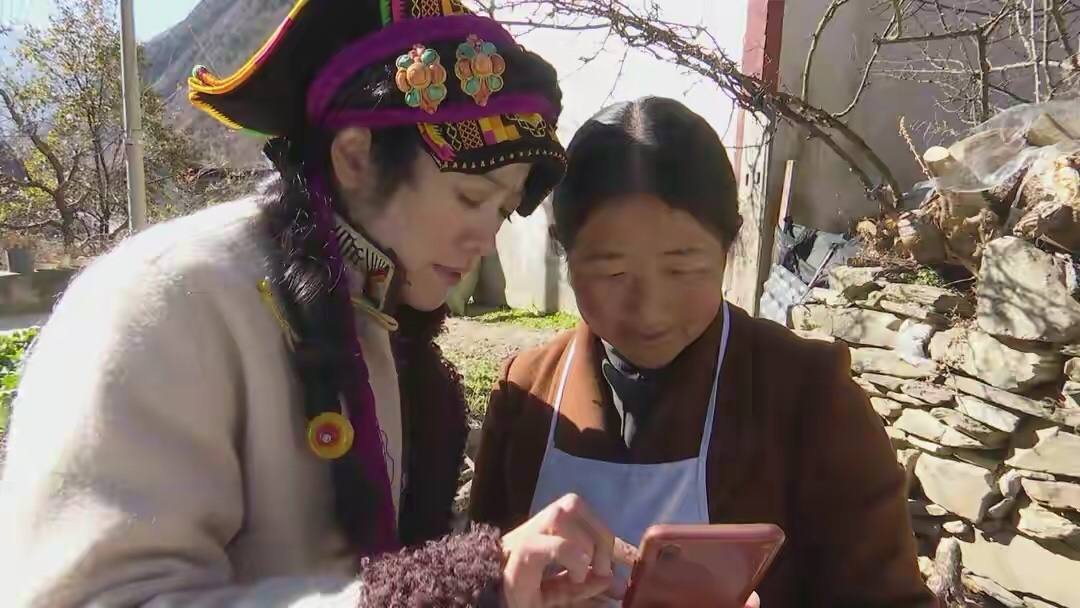 四川女孩嫁藏族小伙放弃百万年薪,四川女孩嫁甘肃农村视频