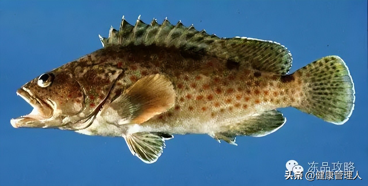 美容护肤食疗方案,美容护肤养生介绍