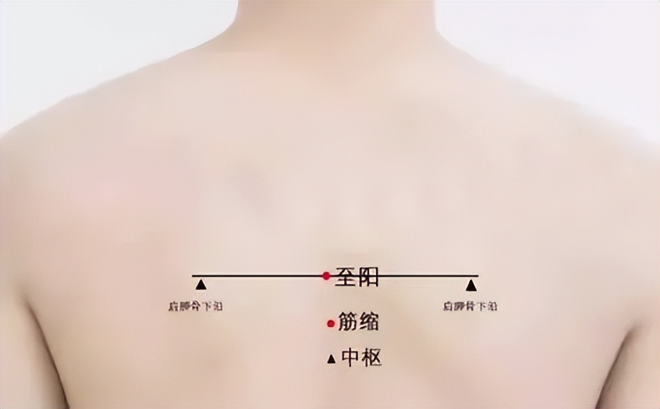 胸椎正骨推拿手法,中医胸椎推拿手法全套教程