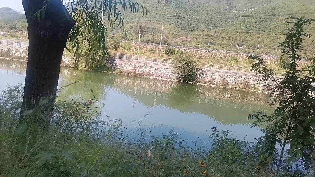 怎么预防手指化脓,大拇指预防甲沟炎的最佳方法