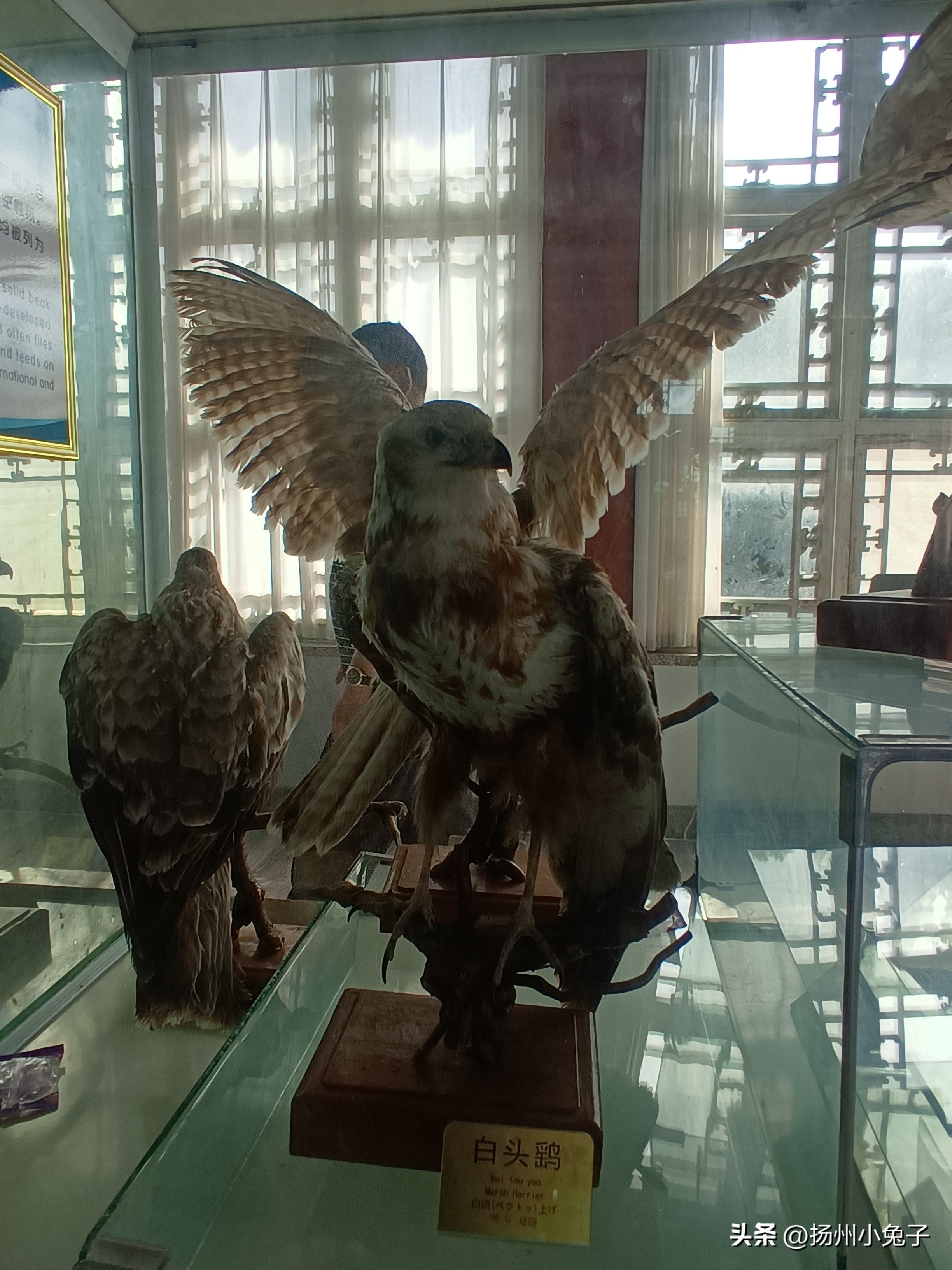 峰山林海打卡景点,打卡森林公园热带雨林