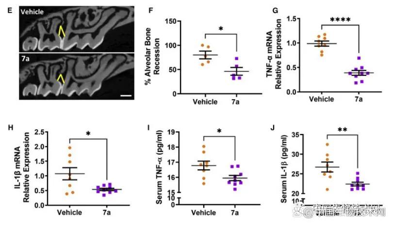 治疗口腔溃疡凝胶医院研制,治疗牙周病的常用的含漱剂
