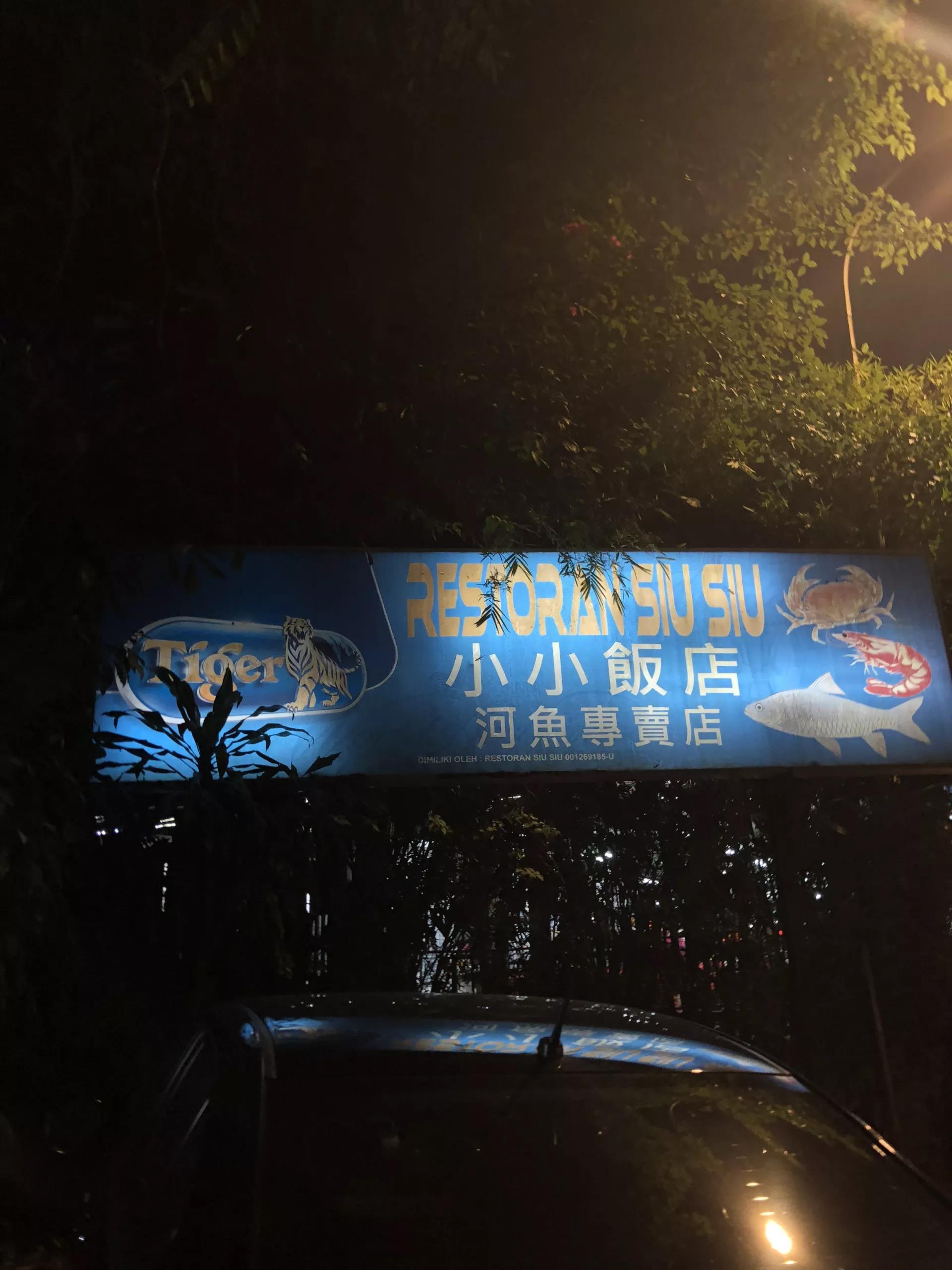 钱猫猫王者荣耀,钱猫猫的视频