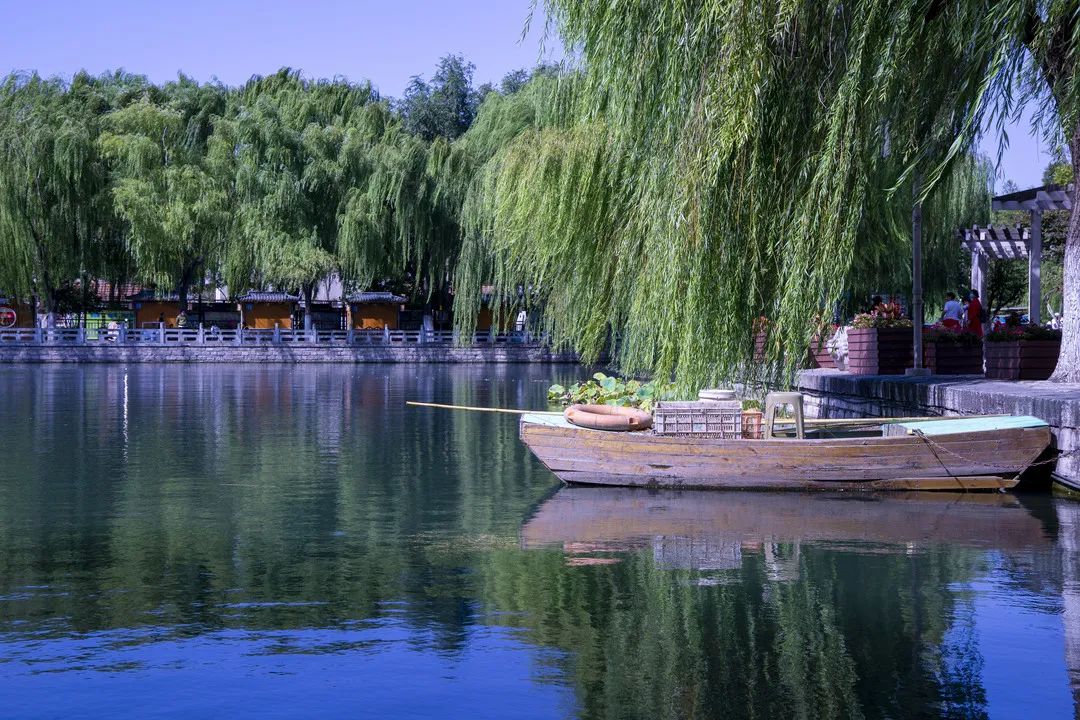 济南元素再一次火爆“出圈”！省长推介的诗意济南是什么样子的？