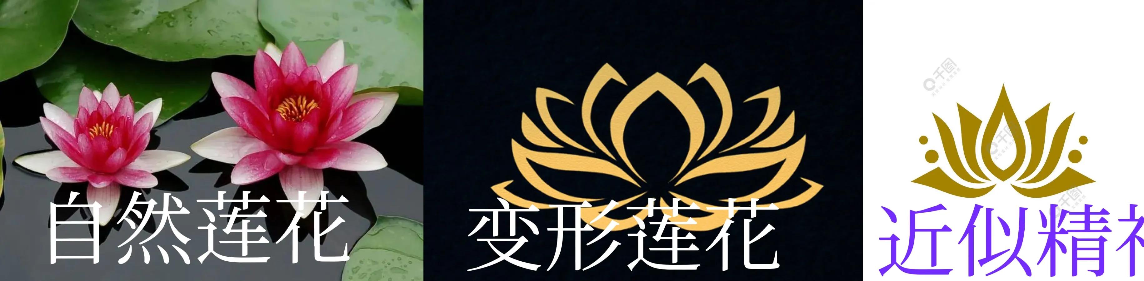 莲花精神怎么培养好的,莲花精神怎么培养的