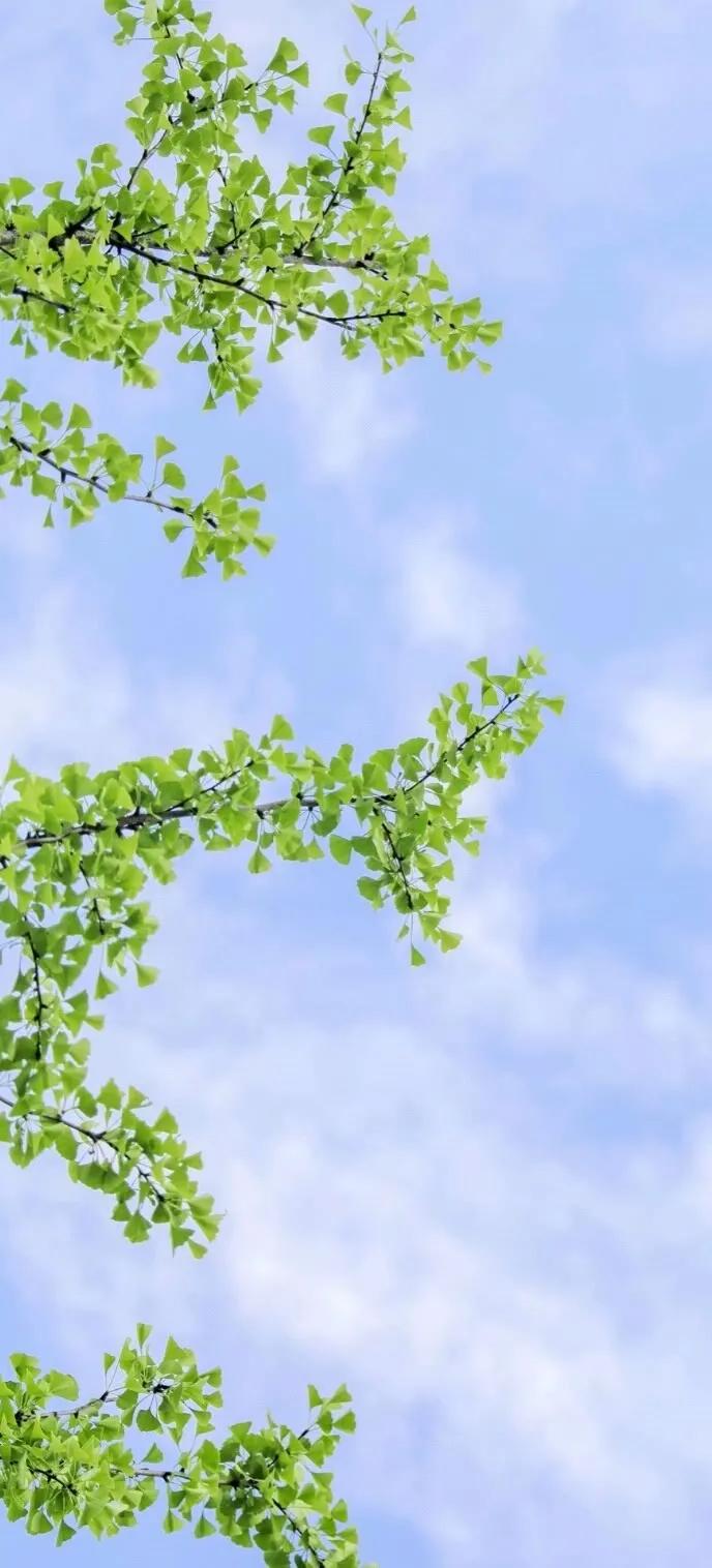 手机壁纸大全超好看动态,壁纸超清4k手机壁纸男生专用