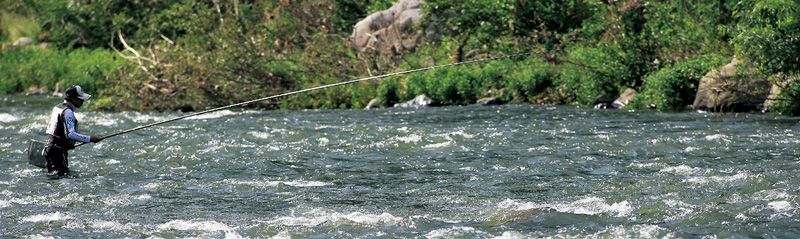 9米超轻矶竿,9米轻量竿