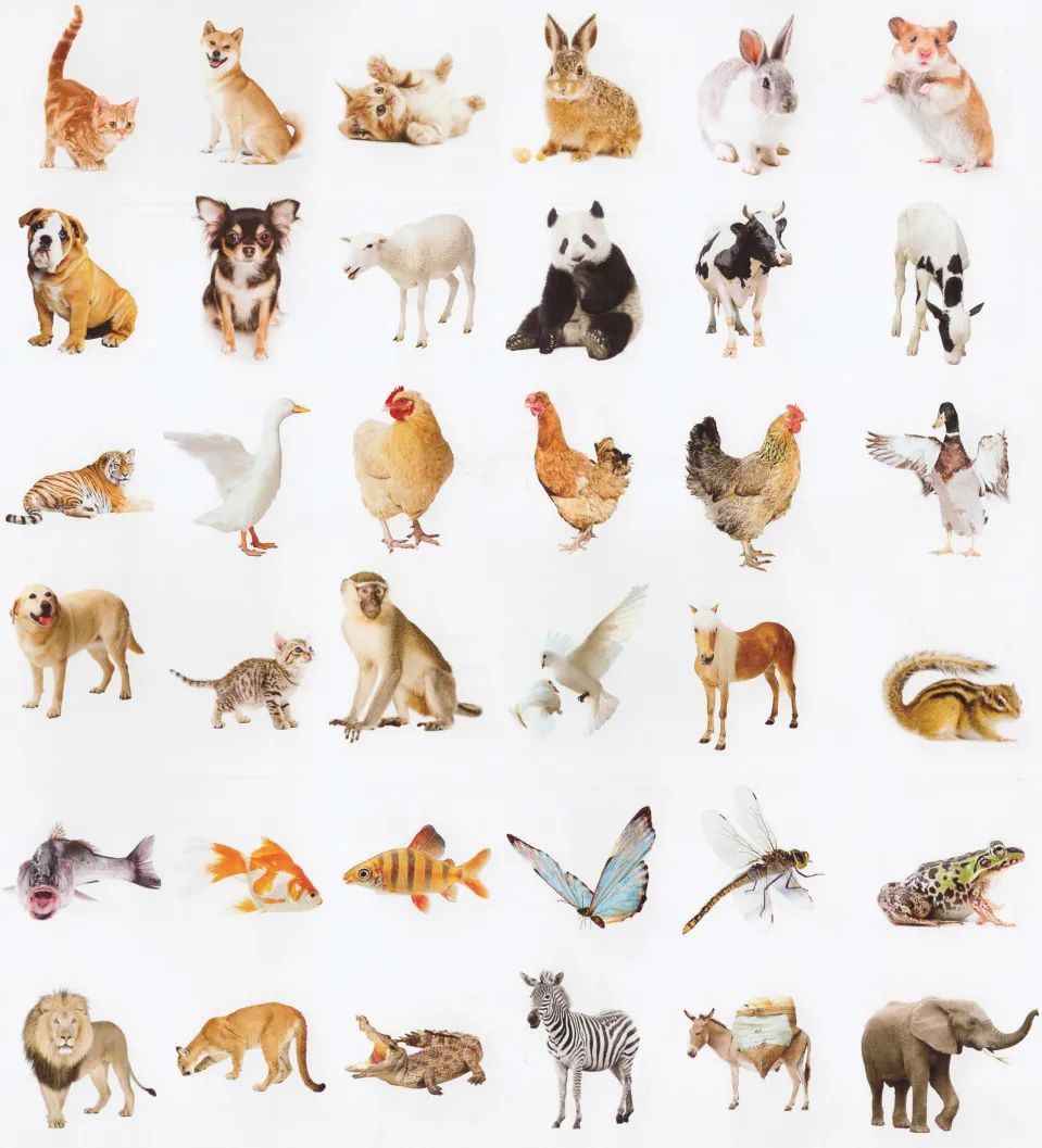 速写人物素材100例,速写照片1000例