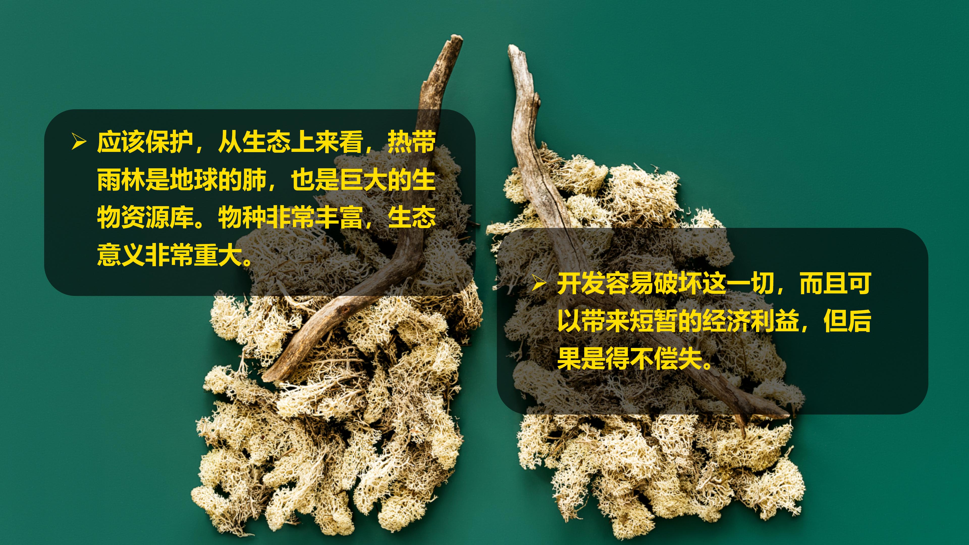 七年级下册地理第九章第二节巴西,七年级下册地理巴西2