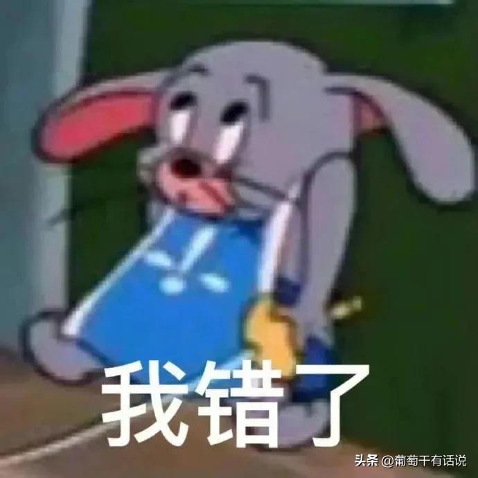 道歉专用表情包哄对象最有效,道歉专用表情包鸭鸭对不起