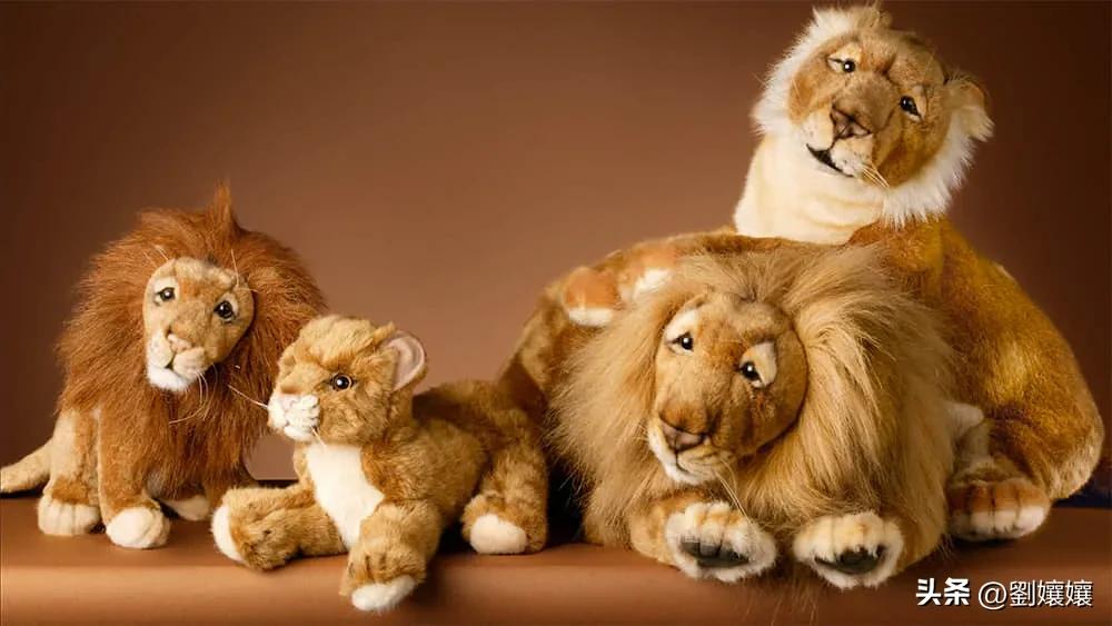 我的前半生吵架了,我的前半生中的冲突