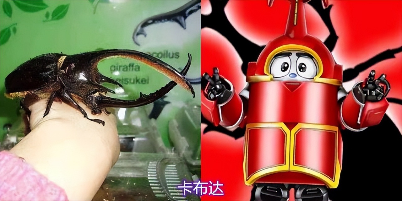 铁甲小宝里有哪些机器人,铁甲小宝中所有机器人图片