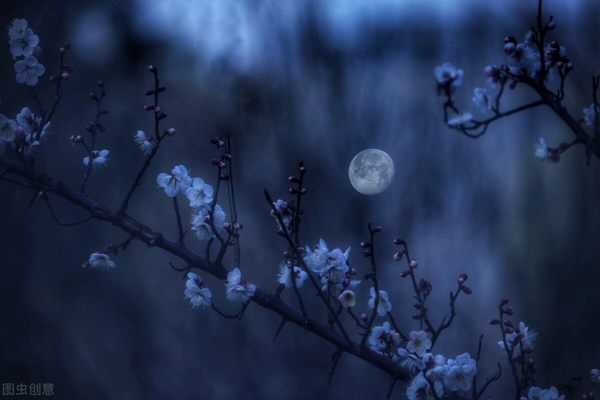 十首最美咏雪古诗词,春节诗词最美十首除夜雪