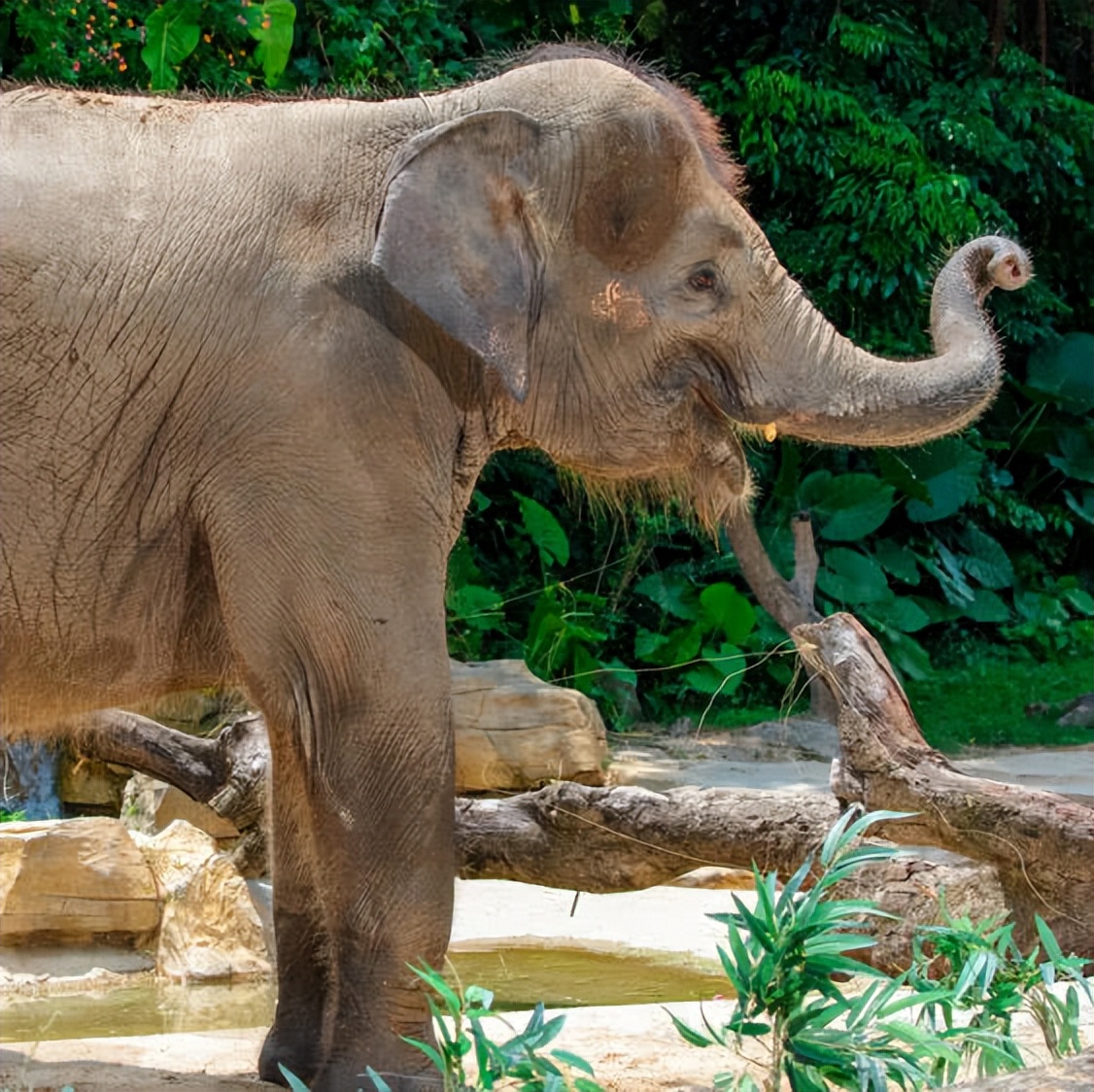 广州长隆酒店童趣乐园,广州游玩长隆性价比超高的酒店