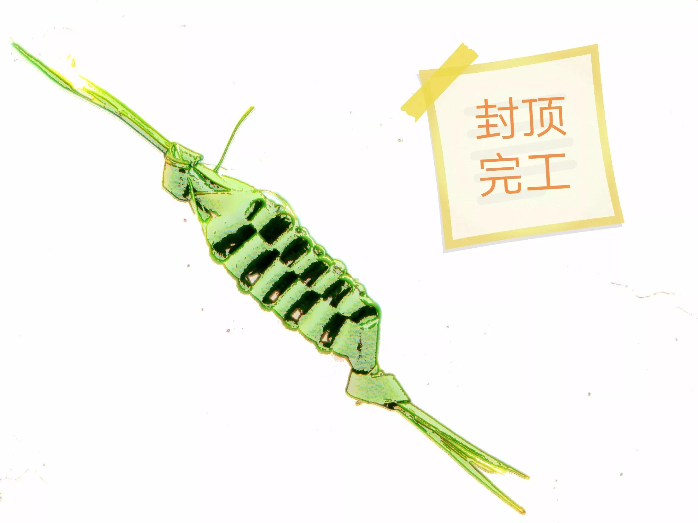 这样的小蜂窝，是不是也唤醒了你的童年记忆？