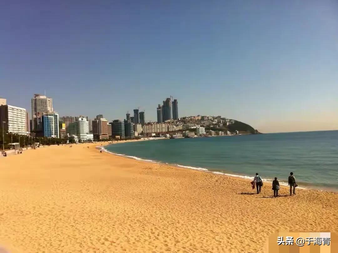 如何评价于海青,于海青资料